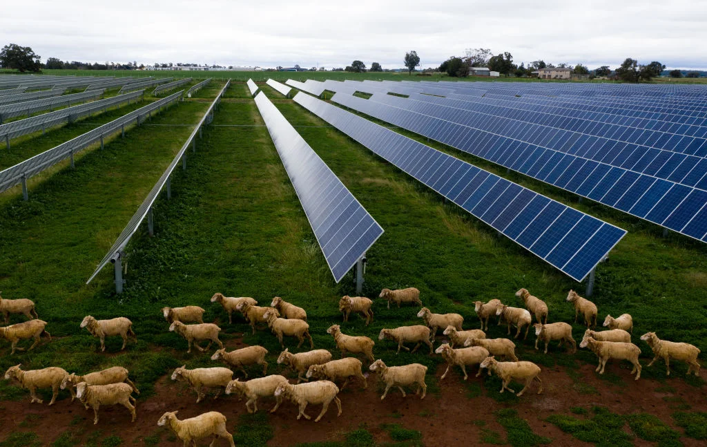 Solar Farms Powering the Future with Sunlight